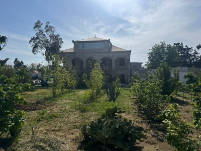 image 376672