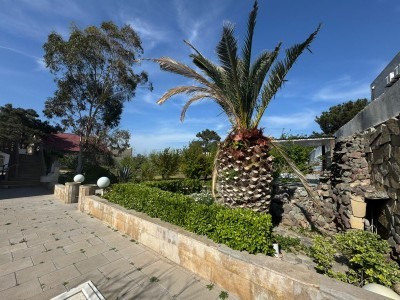 image 376672