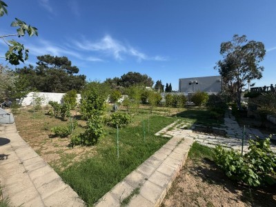 image 376672