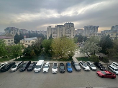 image 376675