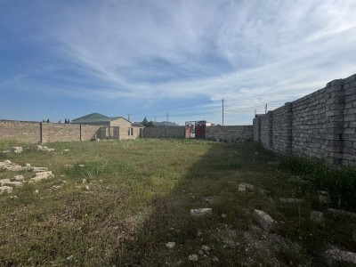 image 376676