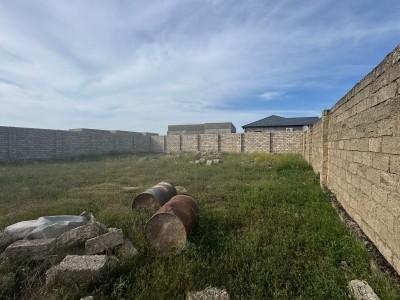 image 376676