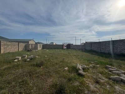 image 376676
