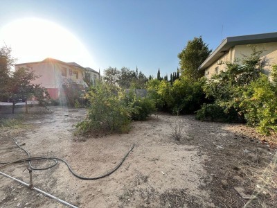 image 376678