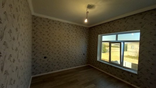 image 376679