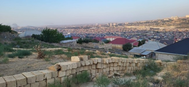 image 376683