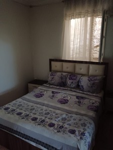 image 376705