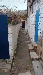 image 376705