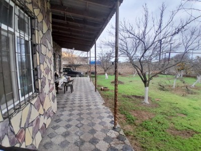 image 376716