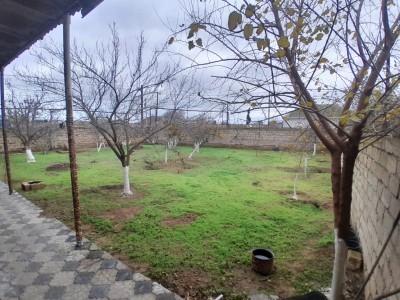 image 376716