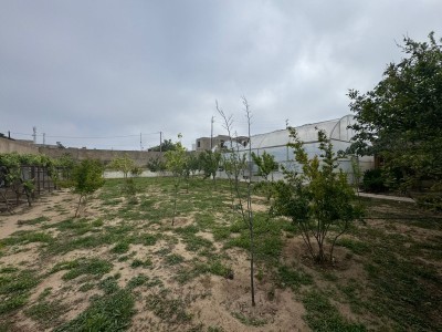image 376726