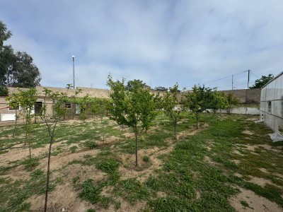 image 376726