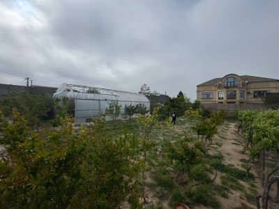 image 376726