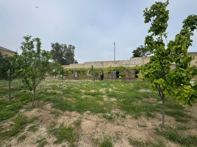 image 376726