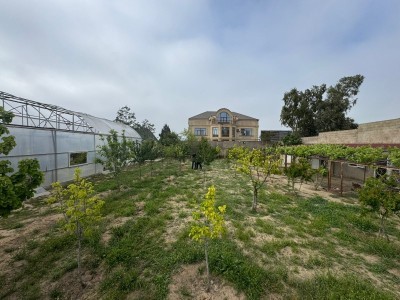 image 376726