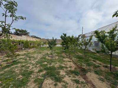 image 376726