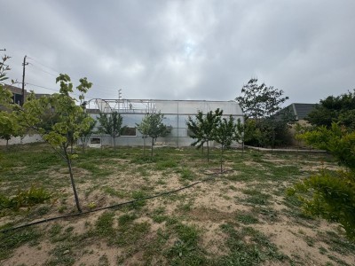 image 376726