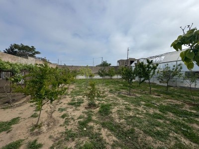 image 376726