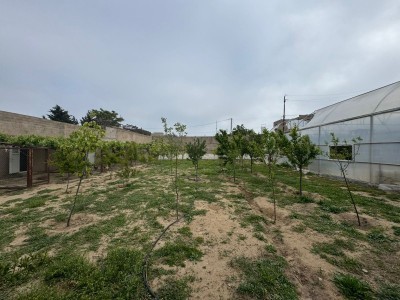image 376726