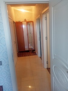image 376731