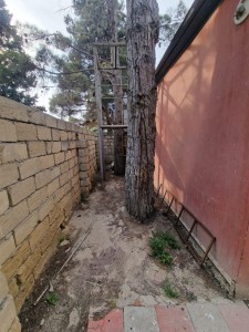 image 376746