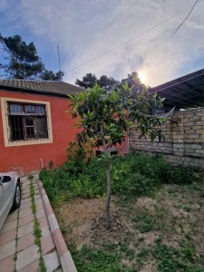 image 376746