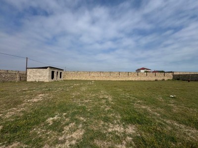 image 376755