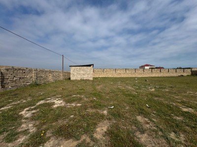 image 376755