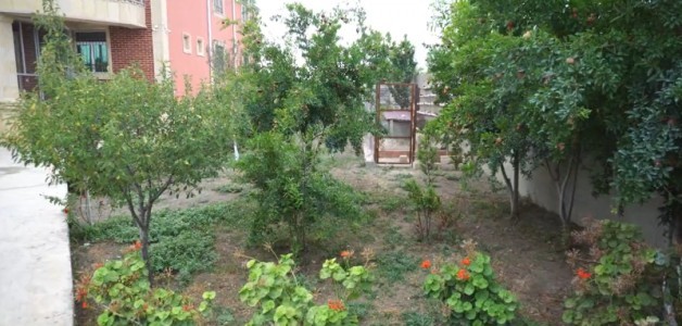 image 376765