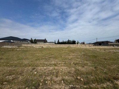 image 376778