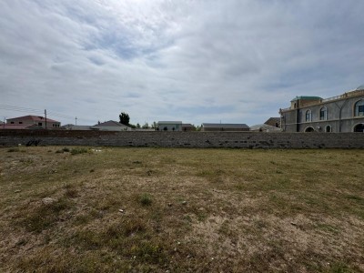 image 376778