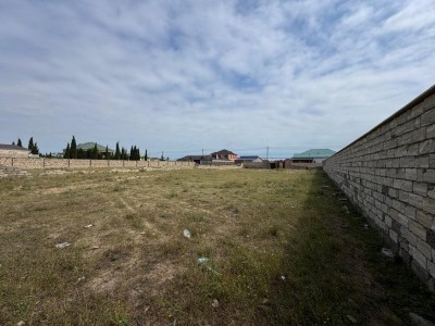 image 376778