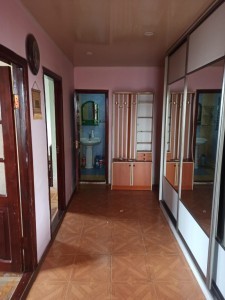 image 376782