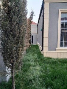 image 376786