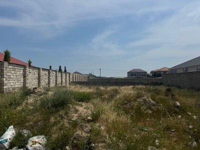 image 376806