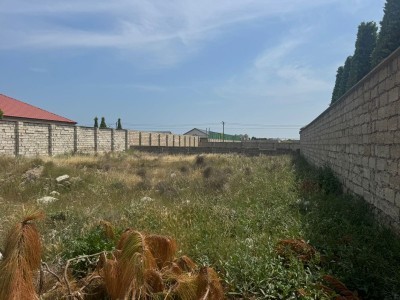 image 376806