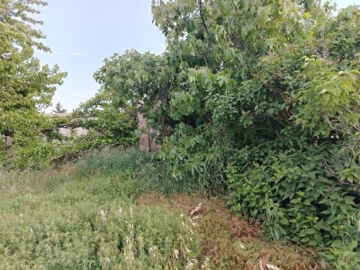 image 376813
