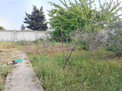 image 376813