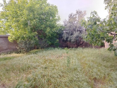 image 376813