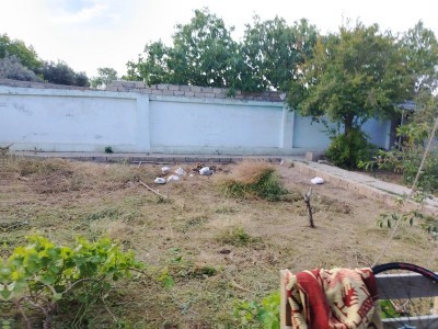 image 376813