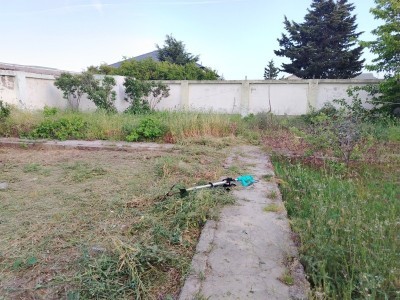 image 376813