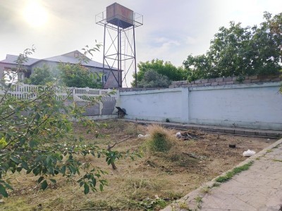 image 376813