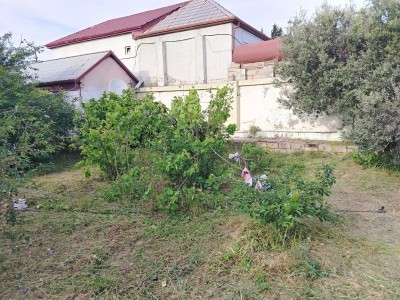 image 376813