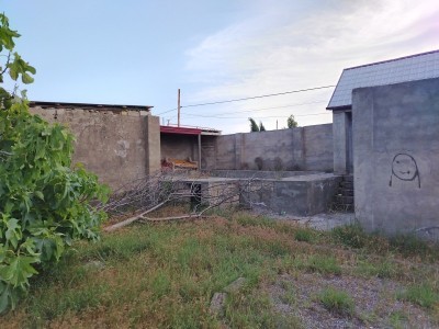 image 376813
