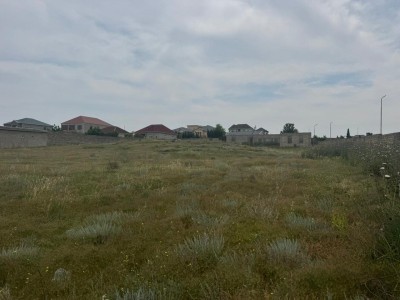 image 376819