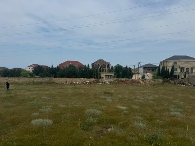 image 376819