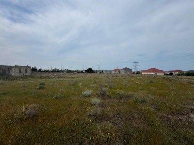 image 376819