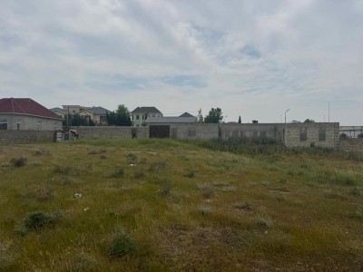 image 376819
