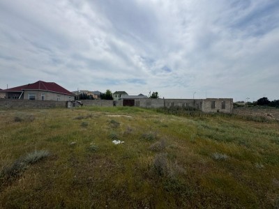 image 376819