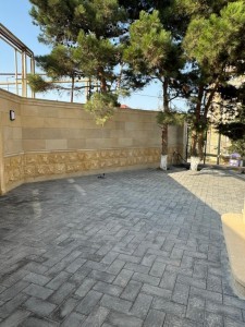 image 376820